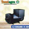 ALTERNADOR DE AVR 24 KW