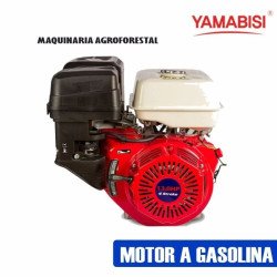 MOTOR A GASOLINA