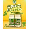 Ginkgo Biloba